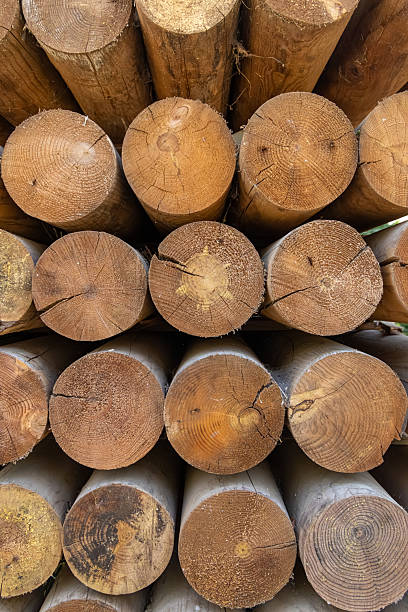 istock Stacked wooden logs with visible growth rings 2231162247