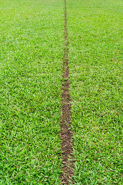 Straight line dividing a patch of vibrant grass.