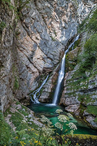 istock Savica waterfall in rocky alpine canyon 2231163150
