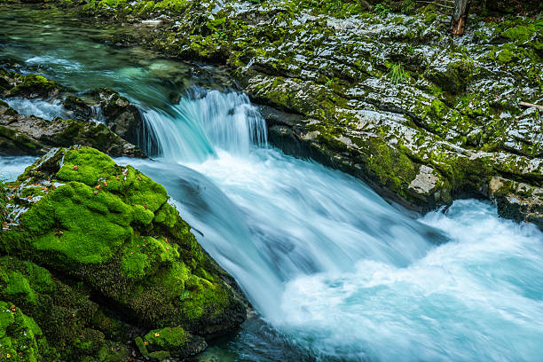 A close-up view of a vibrant turquoise stream cascading over rocks in the Vintgar Gorge, Slovenia. The lush green moss and flowing water create a vivid and refreshing natural scene in the heart of the forest.
