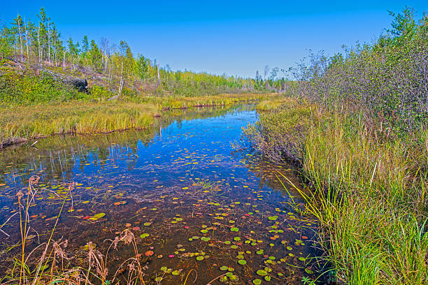 Quiet Waters on Calm Inlet in the Boundary Waters on Iron Lake in Minnesota