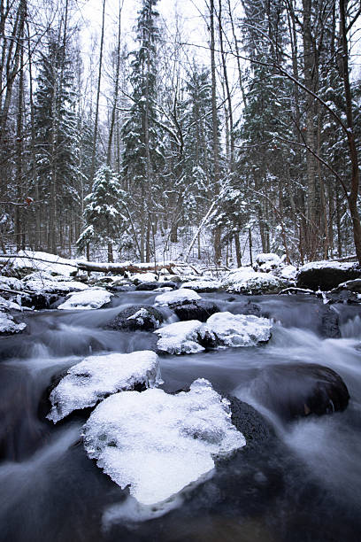 istock Snow-Covered River Stones and Flowing Water in Serene Winter Forest 2231166020