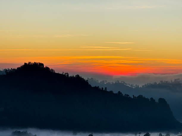 Golden sunrise paints the sky over Kintamani’s misty highlands, with silhouetted trees and peaceful mountain contours in view. Kintamani, Indonesia