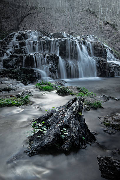 istock Waterfall Flows Through Forest Over Rocks and Driftwood in Soft Mystical Light 2231166092