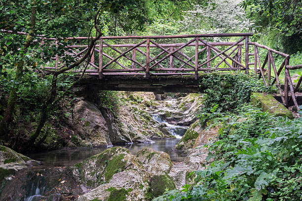 istock small wooden bridge over the river 2231171857