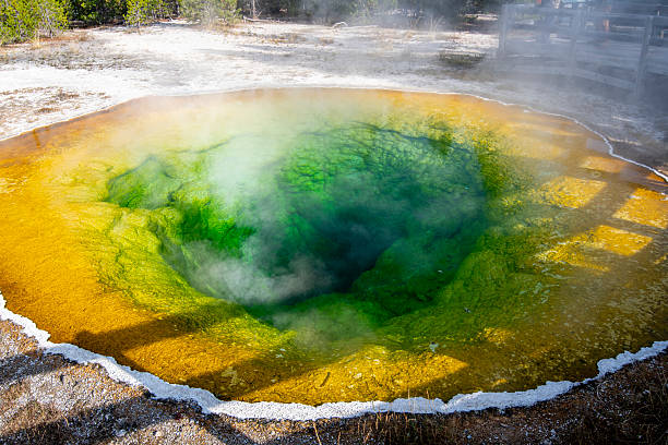 Morning Glory Pool, Yellowstone National Park, Wyoming, shows vibrant turquoise, orange, and yellow rings in a calm geothermal hot spring under clear light.