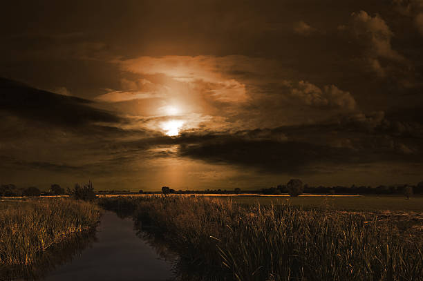 Dark spooky landscape in sepia tones showing swamp at dusk and stormy clouds over sun.
