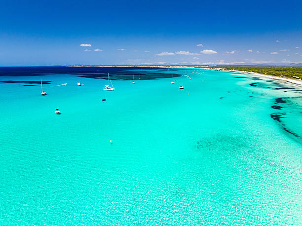 istock Es Trenc Beach, Majorca, Balearic Islands 2231183132