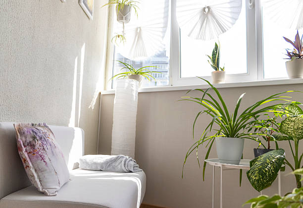 istock Cozy balcony designed in light tones with house pot plants. Interior 2231183286