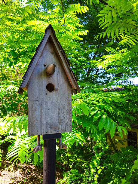 istock Surprised face birdhouse on a metal pole 2231183741