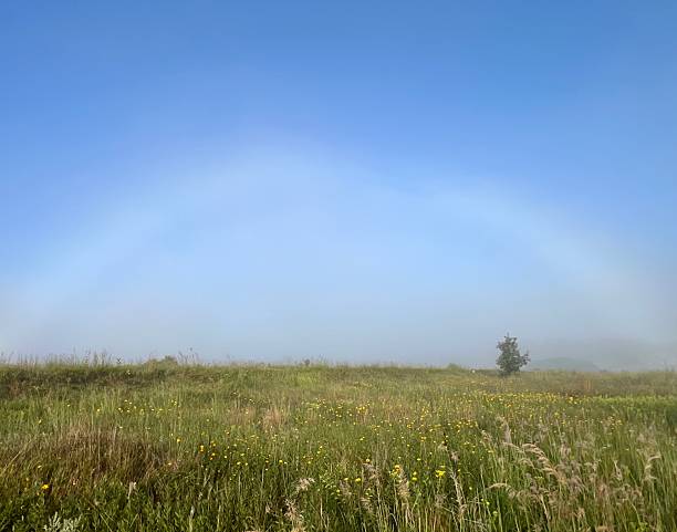 Foggy morning rainbow rural glow meadow scenic.