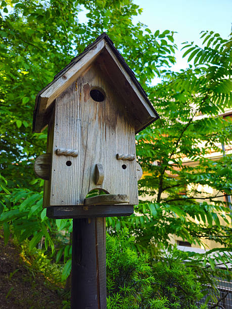 istock Face-shaped birdhouse on a metal pole 2231184615