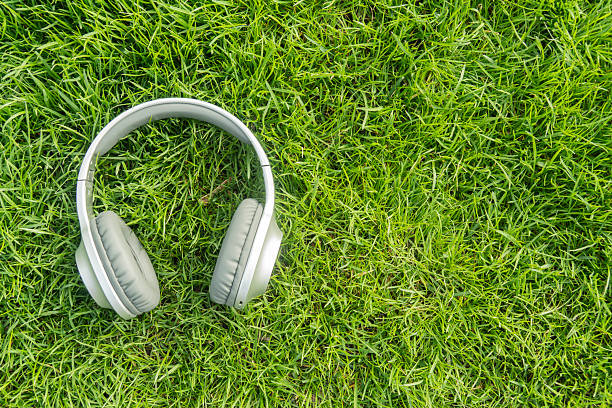 Silver headphones lying on fresh green grass on a sunny day