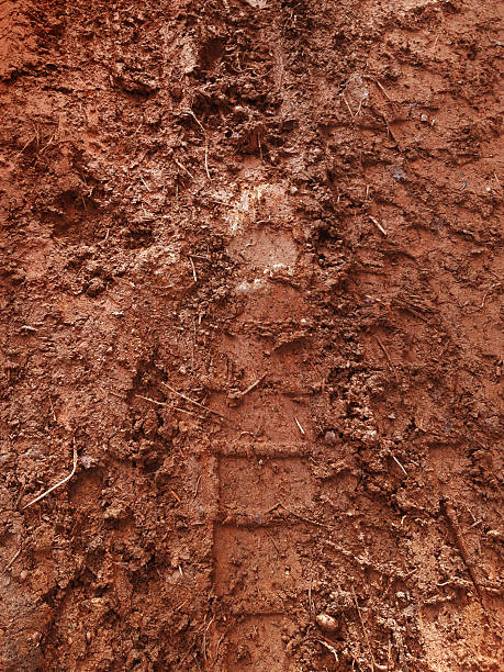 Top view of dry dirt mud texture as background