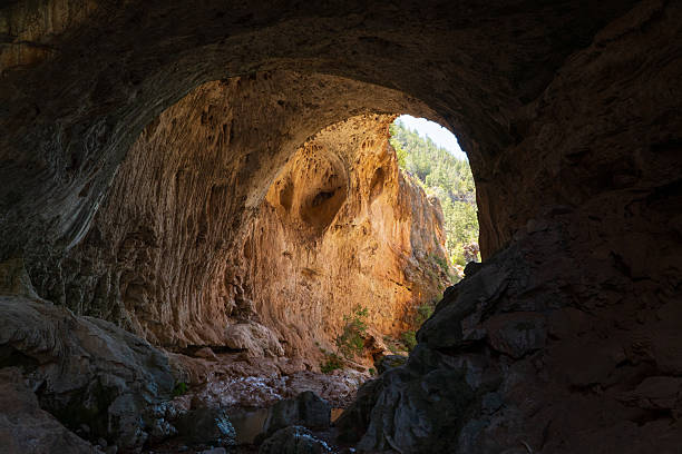 cave, camera, mountain range, forest, photography