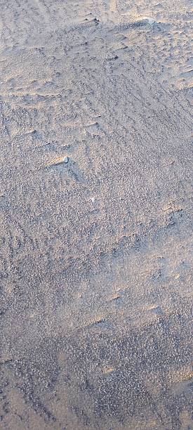 istock photography of sand texture at sunset 2231191721