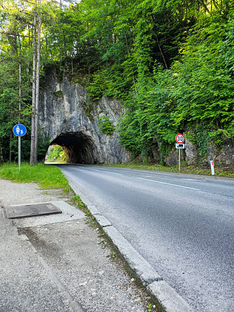 istock Road through tunnel in green mountain 2231192951