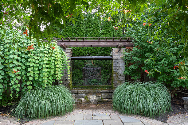 istock Framed iron waterfall feature with wood pergola and stone pillars  for a backyard oasis landscape design 2231209654