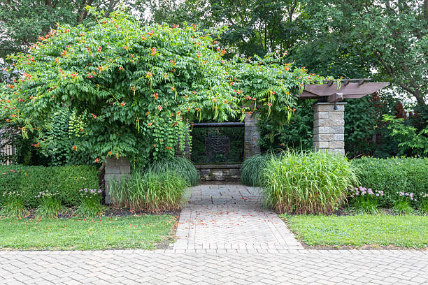 istock Framed iron waterfall feature with wood pergola and stone pillars  for a backyard oasis landscape design 2231209655
