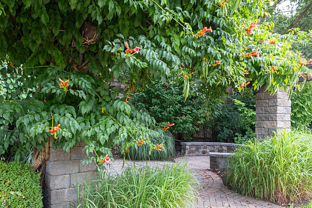 istock Framed iron waterfall feature with wood pergola and stone pillars  for a backyard oasis landscape design 2231209685
