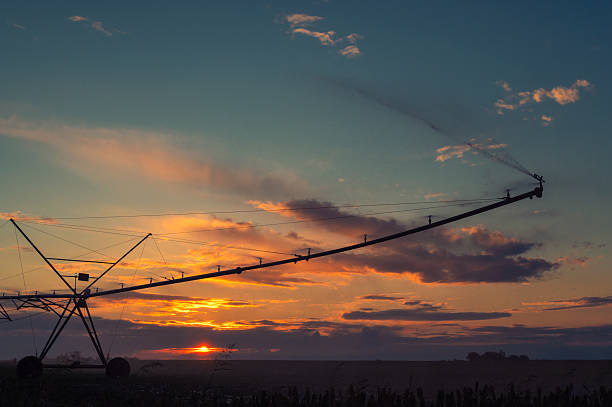 istock Agricultural irrigation system watering corn field 2231217880