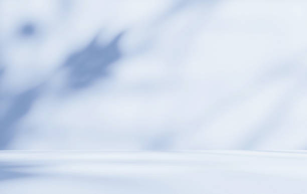 istock Empty blue room studio with shadow of leaves on concrete wall and floor for product presentation. 2231218273