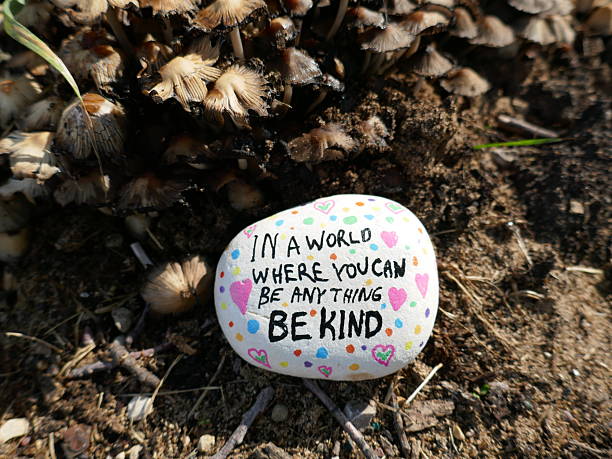 istock Be kind kindness rock and forest fungus environment 2231219287