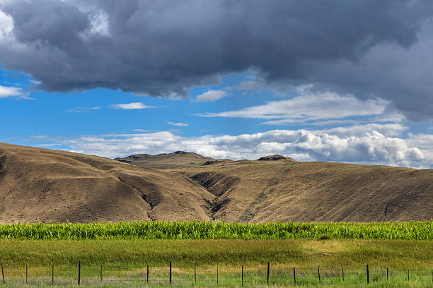 Fields in the Chilean Patagonia