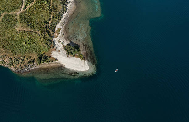 istock New Zealand Coastlines 2231221399