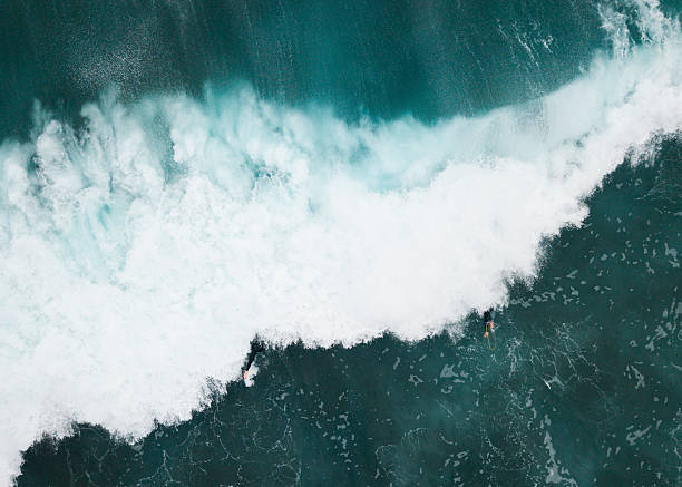 istock New Zealand Coastlines 2231221452