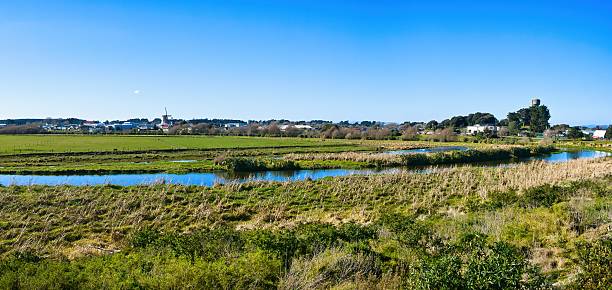istock Foxton New Zealand River Loop Wetlands 2231222682