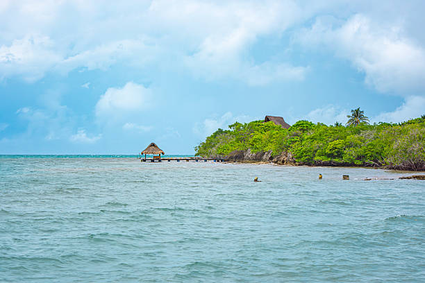 A scenic view of the Rosario Islands in Cartagena, Colombia, featuring lush greenery and a wooden dock by the serene ocean.
