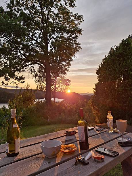 istock Golden Hour Picnic with Wine and a Sunset View 2231231471