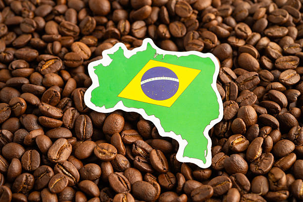istock Brazil flag on coffee bean, import export trade online commerce. 2231235894