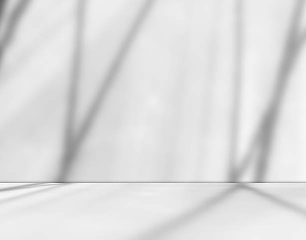 istock Template for show product cosmetic 2231241852