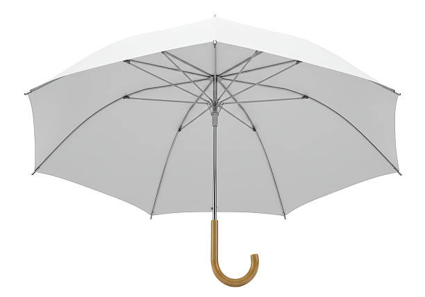 istock Isolated Elegant White Umbrella Wooden Handle 2231241911