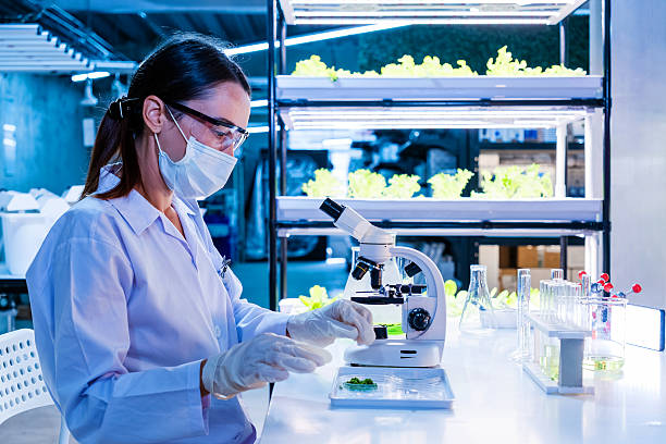 istock Lab technician wearing mask and goggles examines plant samples under a microscope in a high tech hydroponic facility with LED grow lights and glassware on the bench. 2231245077