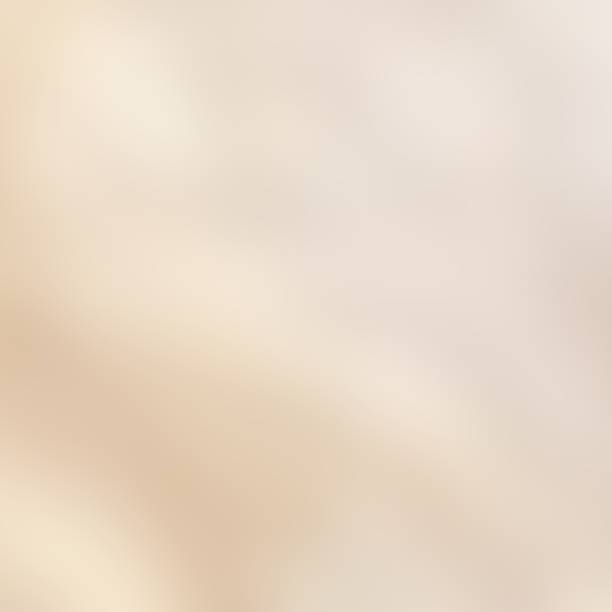 istock Soft gradient white and brown color for elegant, retro, classic background 2231247595