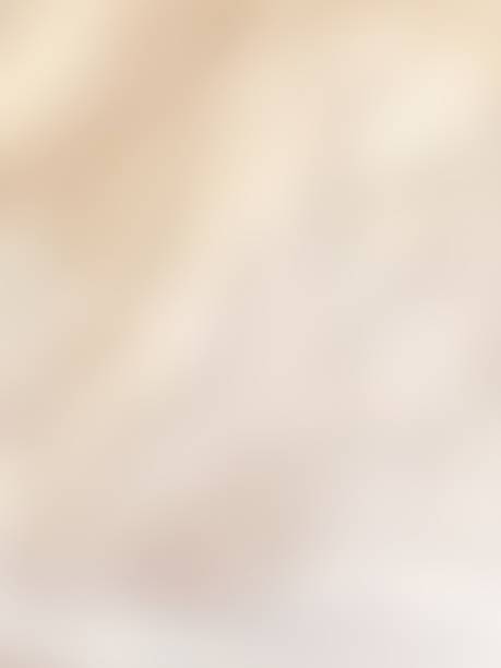 istock Soft gradient white and brown color for elegant, retro, classic background 2231247596