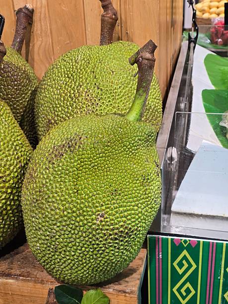 istock Fresh Green Jackfruit Displayed at a Local Market Stall 2231252667
