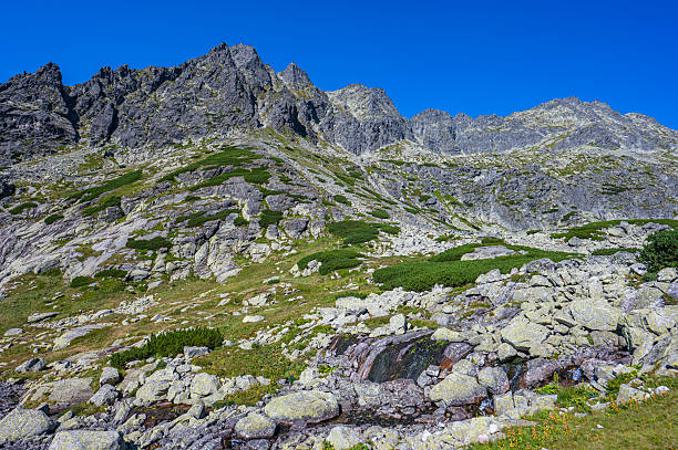 istock The Mlynicka Valley, Tatra Mountains, Slovakia. 2231254067