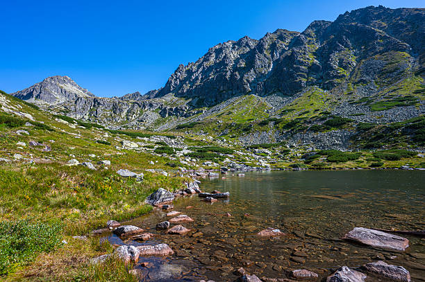 The Mlynicka Valley, Tatra Mountains, Slovakia.