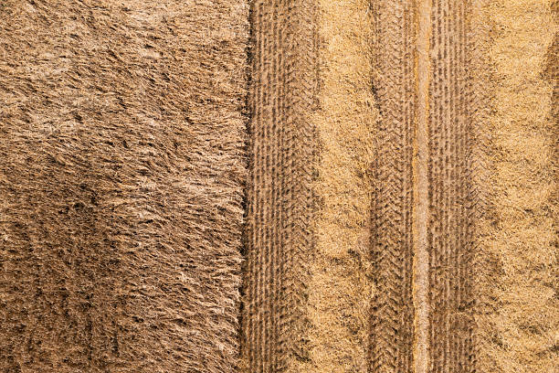 istock The view from directly above a crop field 2231257718