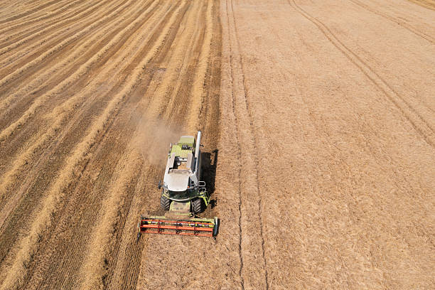 istock High angle view of a combine harvester in a field 2231257739