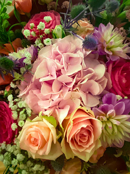 Vibrant mixed flower bouquet featuring hydrangeas, roses, blossoming in soft pastel and rich hues