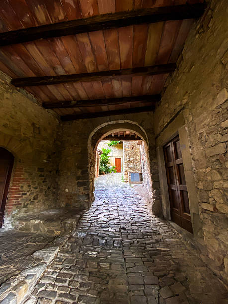 istock Narrow cobblestone pathway winding through medieval Greve in Chianti, revealing rustic Tuscan landscape and traditional stone architecture 2231264228