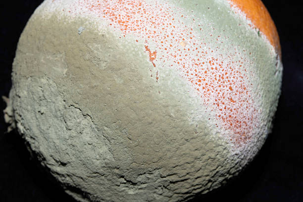 View of moldy surface of a slice of bread.
