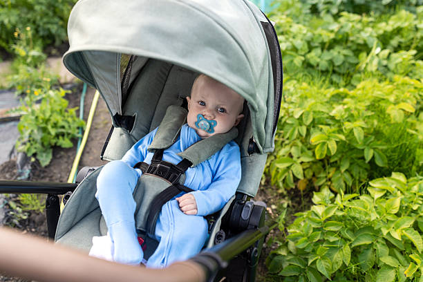 A close-up view of a baby boy lying down in his baby stroller at an urban allotment garden in the North East of England. He has a pacifier in his mouth, and he is looking up at the camera. He is near the crops, reflecting a commitment to sustainable living and care for homegrown produce. Videos are available similar to this scenario.