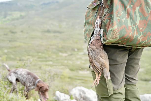 A person is holding a bird in their hand while wearing a camouflage jacket. A dog is standing nearby, watching the person. The scene suggests that the person may have just hunted the bird