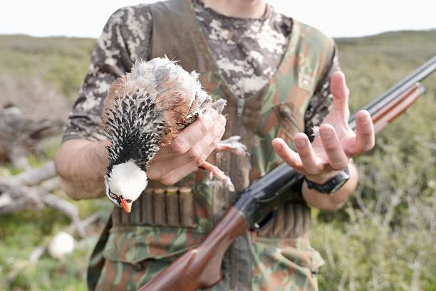 A man holding a bird and a shotgun. The bird is small and brown. The man is wearing a camouflage vest